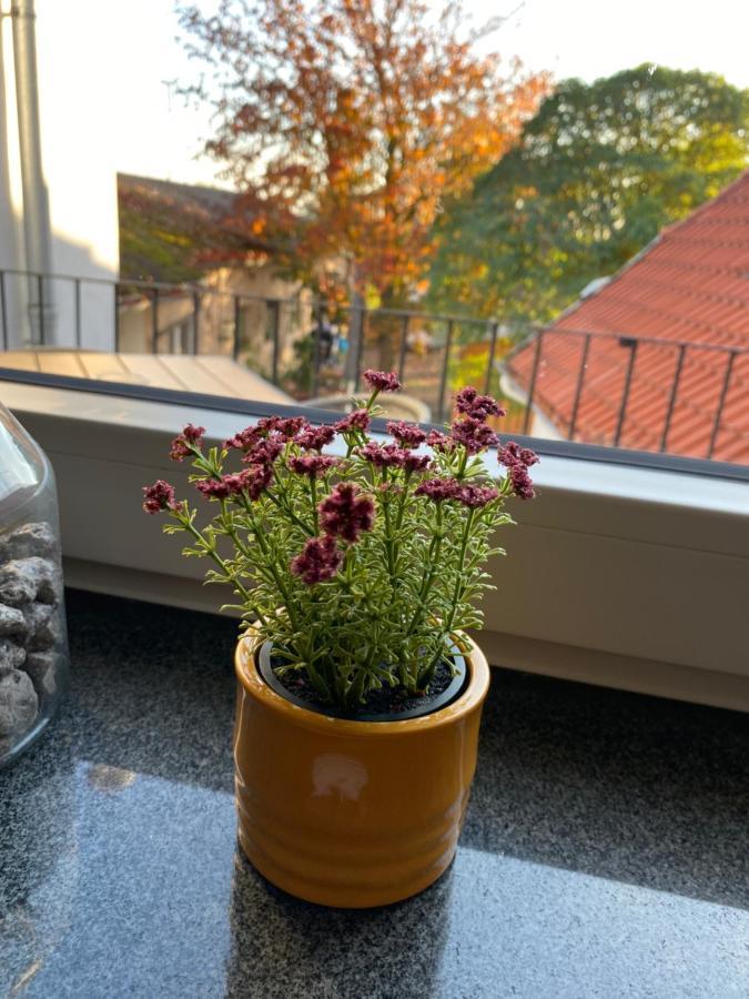 Gasthaus Zur Post Uetze Esterno foto